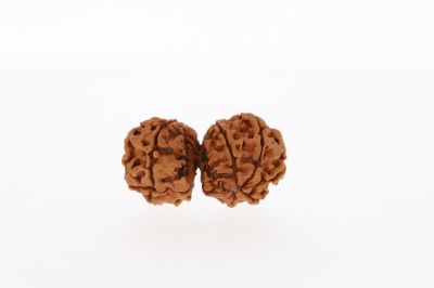 Natural GauriShankar-3.34 Grams Weight-Origin-Nepal