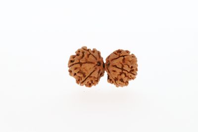 Natural GauriShankar-3.34 Grams Weight-Origin-Nepal