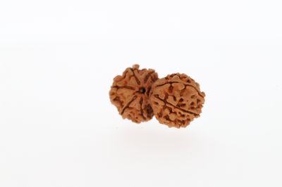 Natural GauriShankar-3.34 Grams Weight-Origin-Nepal