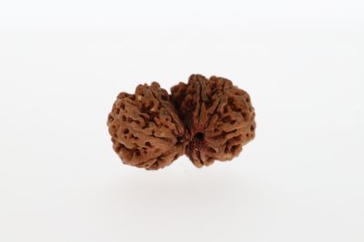 Natural Gaurishankar-1.50 Grams Weight-Origin-Nepal
