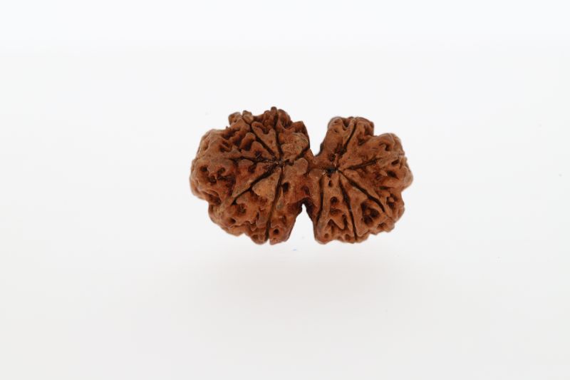 Natural Gaurishankar-1.50 Grams Weight-Origin-Nepal