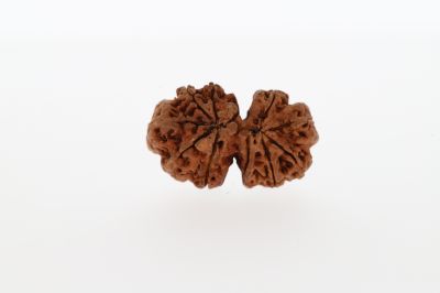 Natural Gaurishankar-1.50 Grams Weight-Origin-Nepal