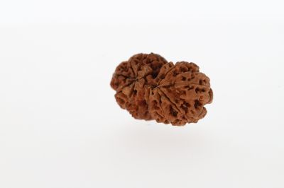 Natural Gaurishankar-1.50 Grams Weight-Origin-Nepal