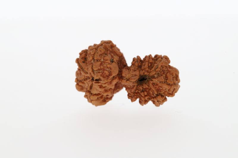 Natural Gauri Shankar-3.87 Grams Weight-Origin-Nepal
