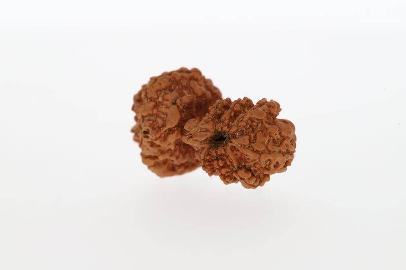 Natural Gauri Shankar-3.87 Grams Weight-Origin-Nepal