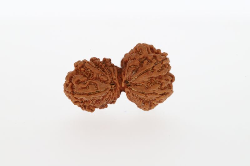 Natural Gauri Shankar-3.87 Grams Weight-Origin-Nepal