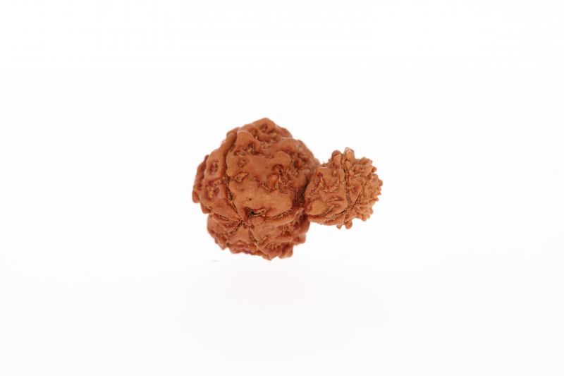 Original Gauri Shankar-3.48 Gram Weigh -Origin-Nepal