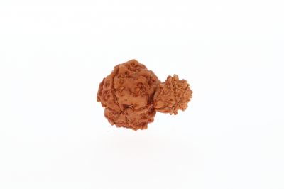 Original Gauri Shankar-3.48 Gram Weigh -Origin-Nepal