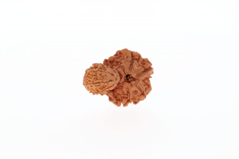 Original Gauri Shankar-3.48 Gram Weigh -Origin-Nepal
