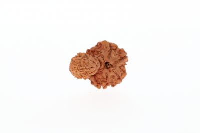 Original Gauri Shankar-3.48 Gram Weigh -Origin-Nepal
