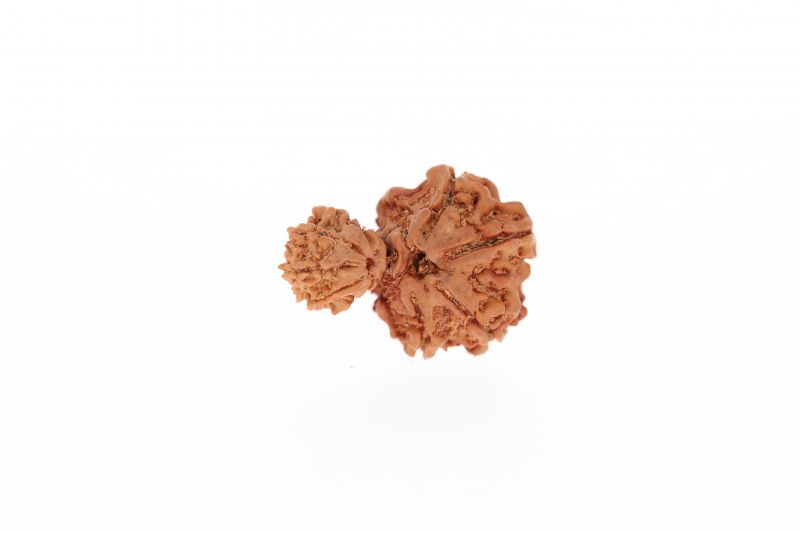 Original Gauri Shankar-3.48 Gram Weigh -Origin-Nepal