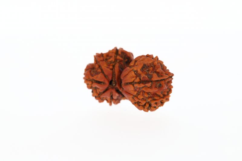 Natural Gauri Shankar-4.82 Grams Weight-Origin-Nepal