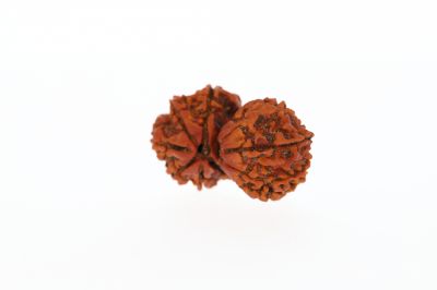 Natural Gauri Shankar-4.82 Grams Weight-Origin-Nepal