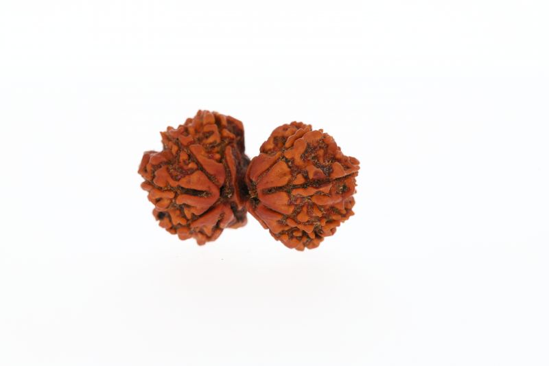 Natural Gauri Shankar-4.82 Grams Weight-Origin-Nepal