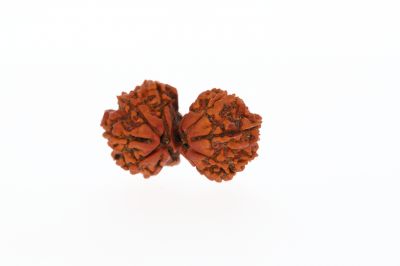 Natural Gauri Shankar-4.82 Grams Weight-Origin-Nepal
