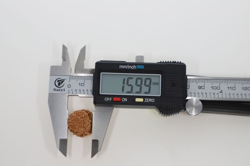 Natural Gauri Shankar-4.82 Grams Weight-Origin-Nepal