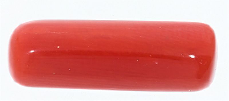 61713 Natural Red Coral ( Munga) - 8.00 Carat Weight - Origin Italy