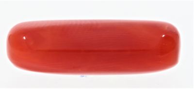 61720 Natural Red Coral ( Munga) - 10.50 Carat Weight - Origin Italy