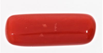 61721 Natural Red Coral ( Munga) - 7.50 Carat Weight - Origin Italy
