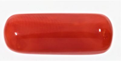 61722 Natural Red Coral ( Munga) - 7.25 Carat Weight - Origin Italy