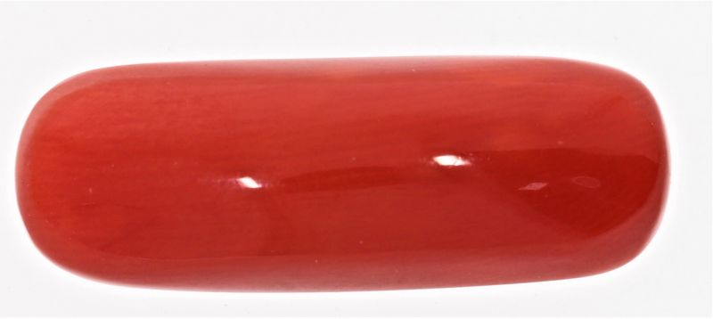 61723 Natural Red Coral ( Munga) - 8.50 Carat Weight - Origin Italy