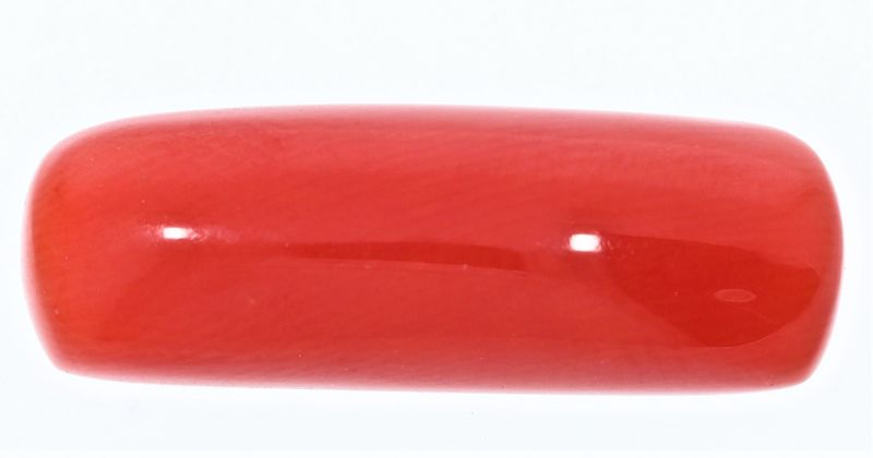 61724 Natural Red Coral ( Munga) - 8.00 Carat Weight - Origin Italy