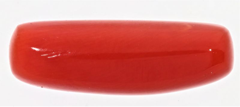 61724 Natural Red Coral ( Munga) - 8.00 Carat Weight - Origin Italy