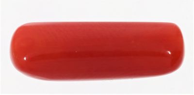 61730 Original Red Coral ( Munga or Moonga ) - 8.25 Carat Weight - Origin Italy