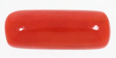 61737 Original Red Coral ( Munga or Moonga ) - 9.50 Carat Weight - Origin Italy