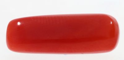61738 Original Red Coral ( Munga or Moonga ) - 8.25 Carat Weight - Origin Italy