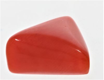 61769 Redstone Coral ( Munga or Moonga ) - 7.50 Carat Weight - Origin Italy