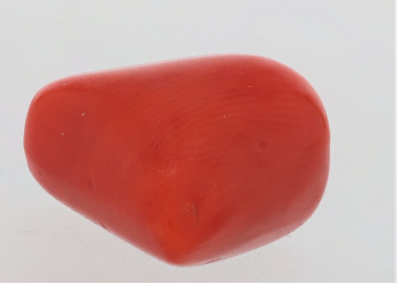 61783 Natural Red Coral ( Munga) - 8.00 Carat Weight - Origin Italy