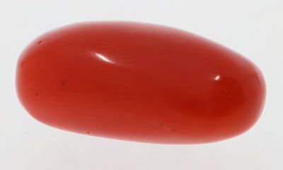 61786 Natural Red Coral ( Munga) - 13.50 Carat Weight - Origin Italy