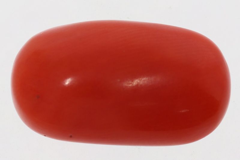 61786 Natural Red Coral ( Munga) - 13.50 Carat Weight - Origin Italy