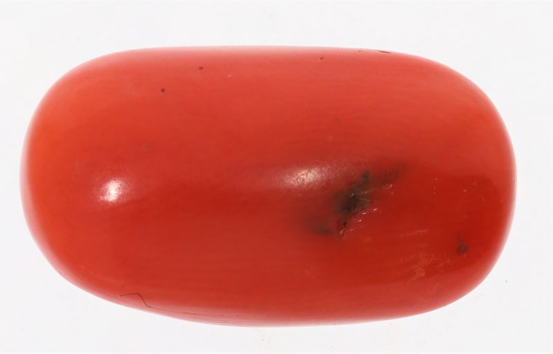 61786 Natural Red Coral ( Munga) - 13.50 Carat Weight - Origin Italy
