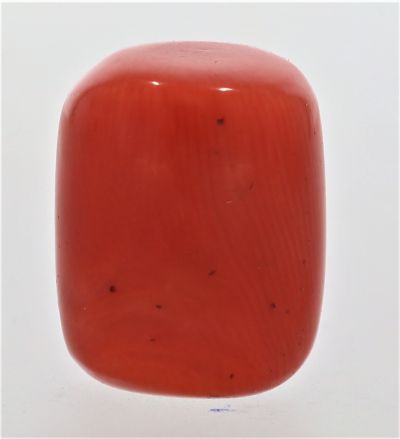 61787 Natural Red Coral ( Munga) - 15.25 Carat Weight - Origin Italy