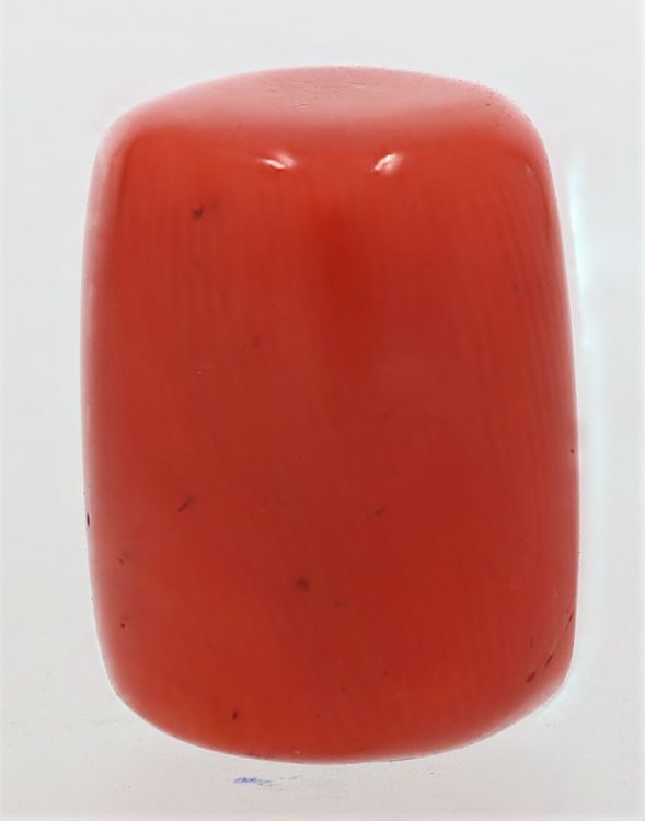 61787 Natural Red Coral ( Munga) - 15.25 Carat Weight - Origin Italy