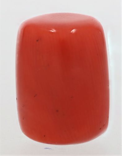 61787 Natural Red Coral ( Munga) - 15.25 Carat Weight - Origin Italy