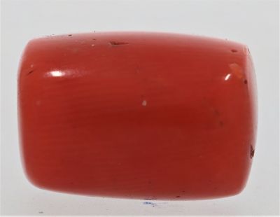 61787 Natural Red Coral ( Munga) - 15.25 Carat Weight - Origin Italy