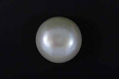 541726 Natural  Pearl (Moti) 8.7 Carat Weight-Origin India
