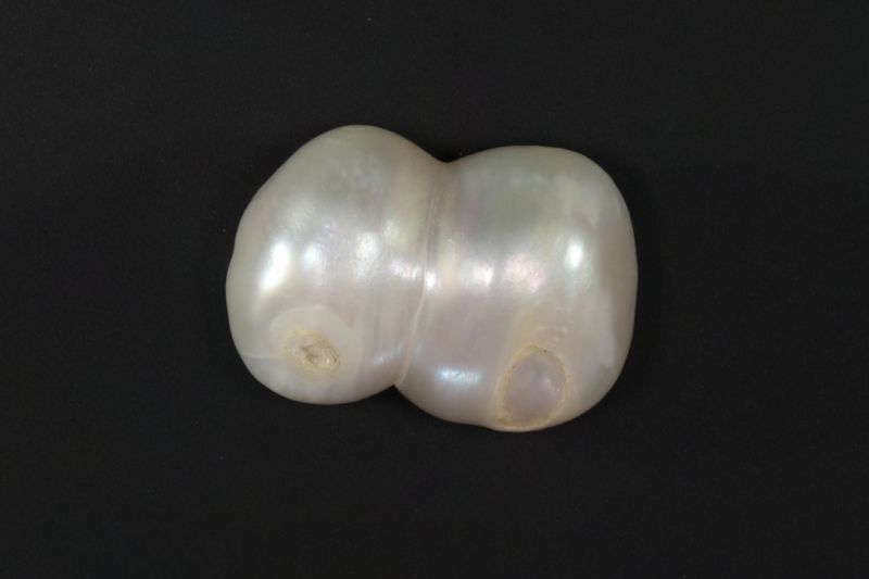 622005 Certified Natural Pearl (South Sea) 8.5 Carat Weight Origin Australia