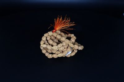 Rudraksha Mala 2 Mukhi (Indonesia)