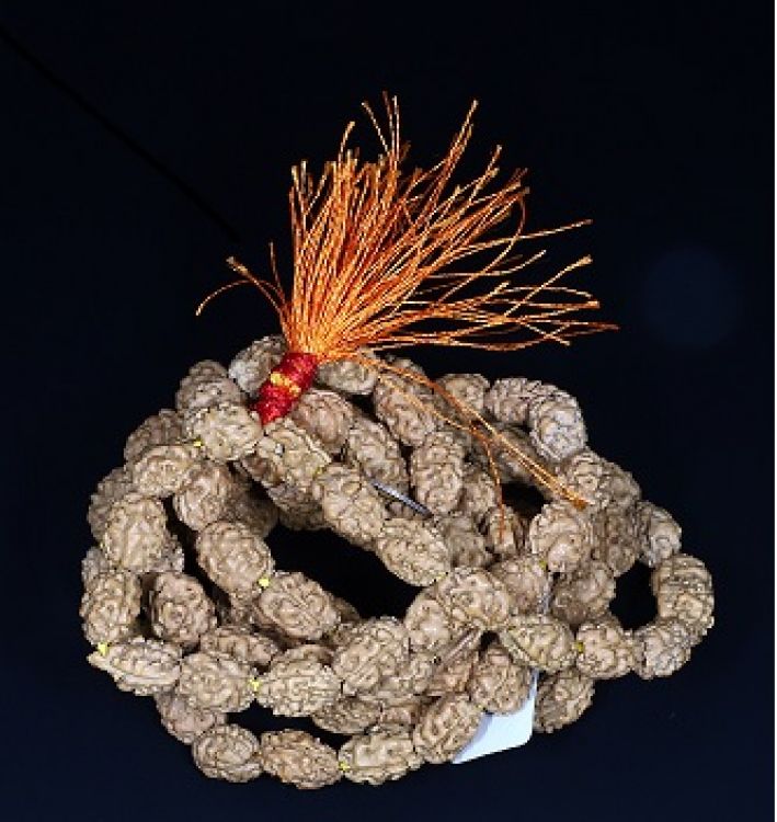 Rudraksha Mala 2 Mukhi (Indonesia)