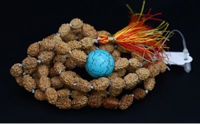 Rudraksha Mala 2 Mukhi Firoza (Indonesia)