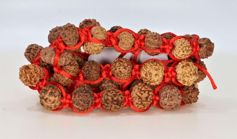 Rudraksha Mala 12 Mukhi (Indonesia)