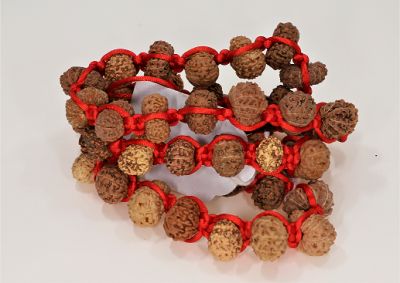 Rudraksha Mala 12 Mukhi (Indonesia)