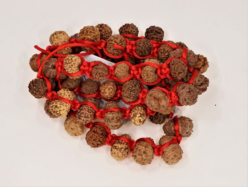 Rudraksha Mala 12 Mukhi (Indonesia)