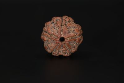 Rudraksha 5 Mukhi  Brown - 17.23 X 17.98 MM Weight - Origin - Nepal