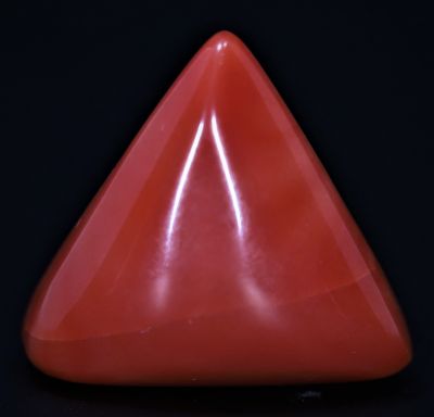 452002 Natural Red Coral ( Munga) - 13.50 Carat Weight - Origin Italy