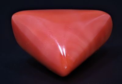 452002 Natural Red Coral ( Munga) - 13.50 Carat Weight - Origin Italy